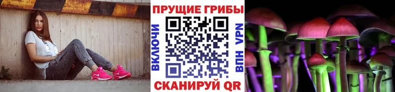 Галлюциногенные грибы Psilocybe  kraken вход  Сусуман 