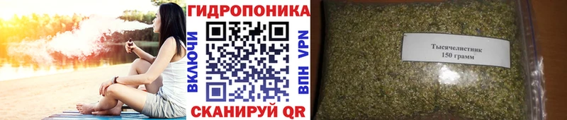 Каннабис VHQ  Сусуман 